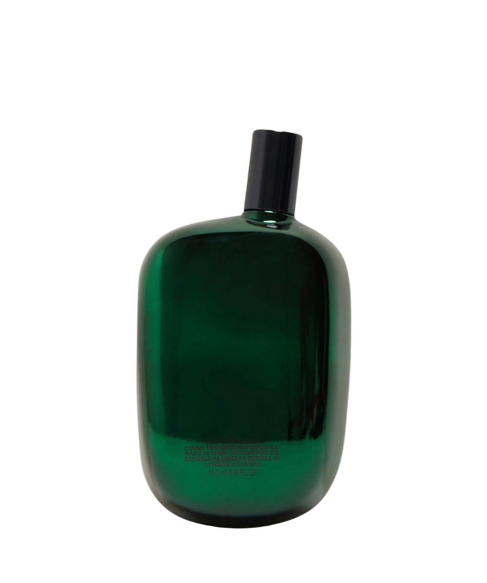 Comme Des Garçons Amazin Green Eau De Parfum In Green