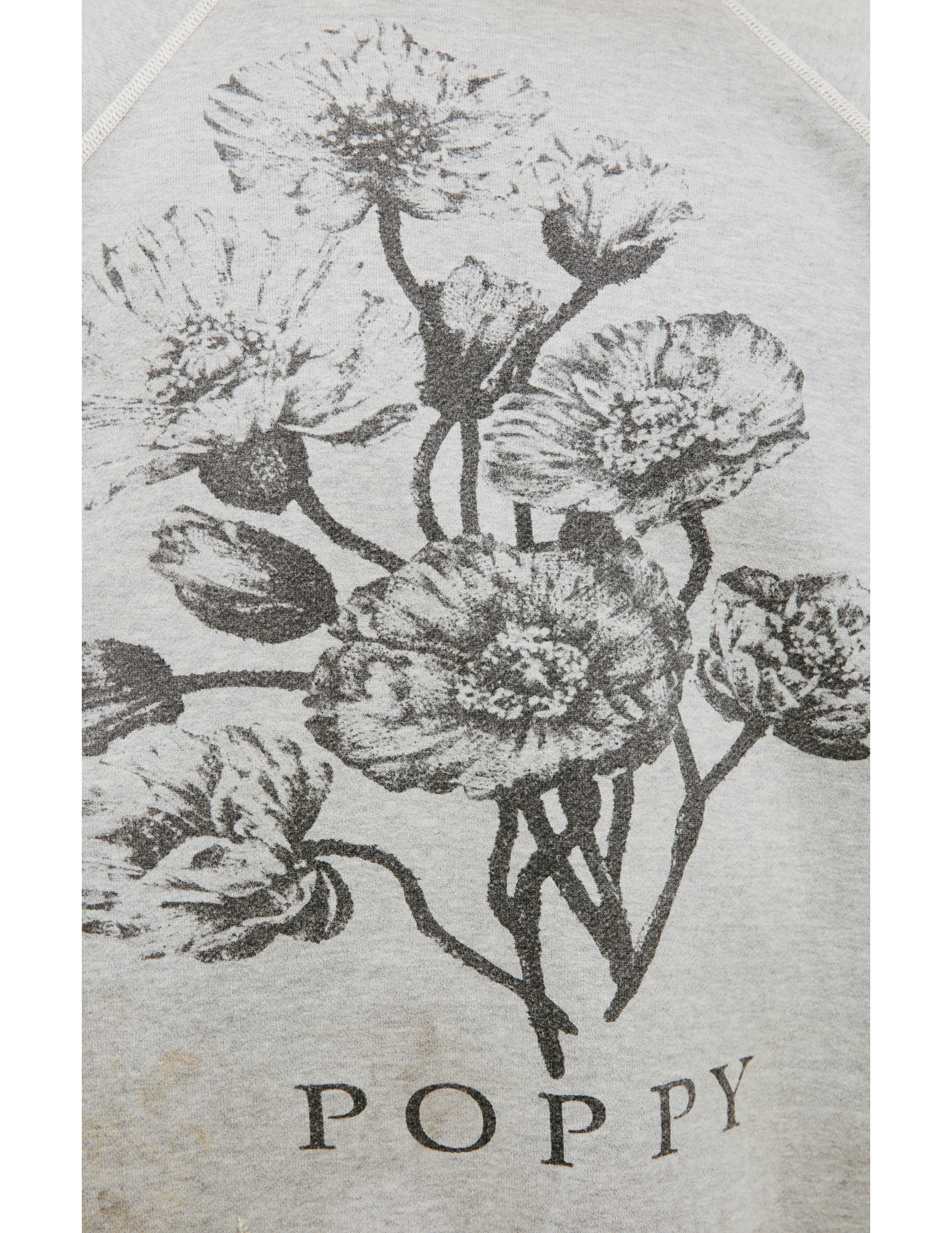 Saint Mxxxxxx Printed Cotton Sweatshirt In Grey