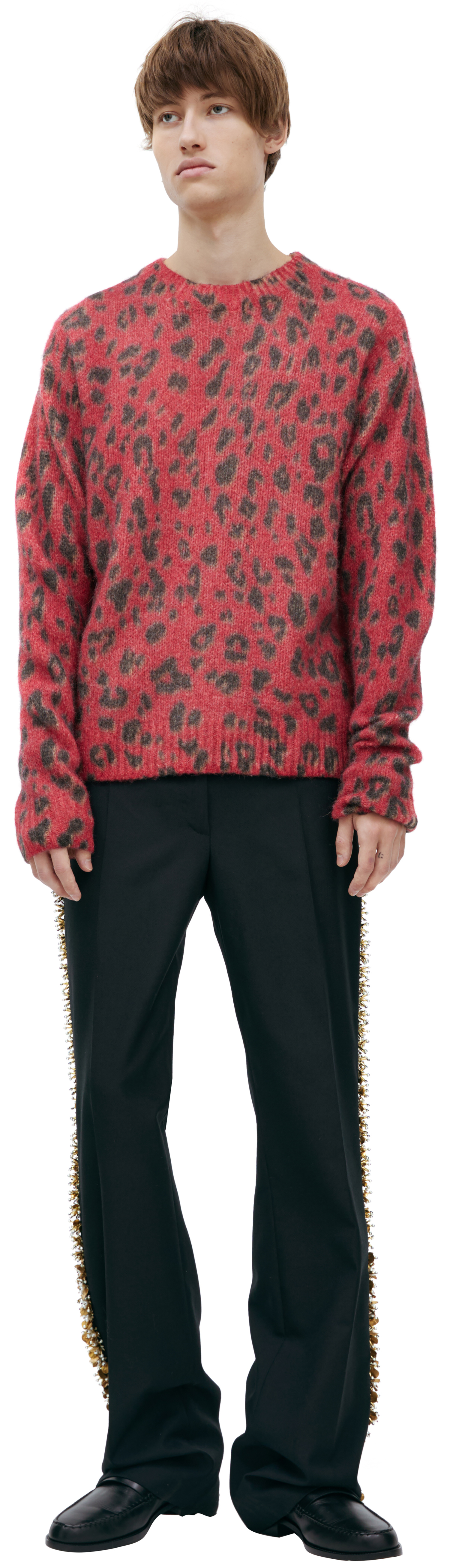 Dries Van Noten Animalistic print sweater