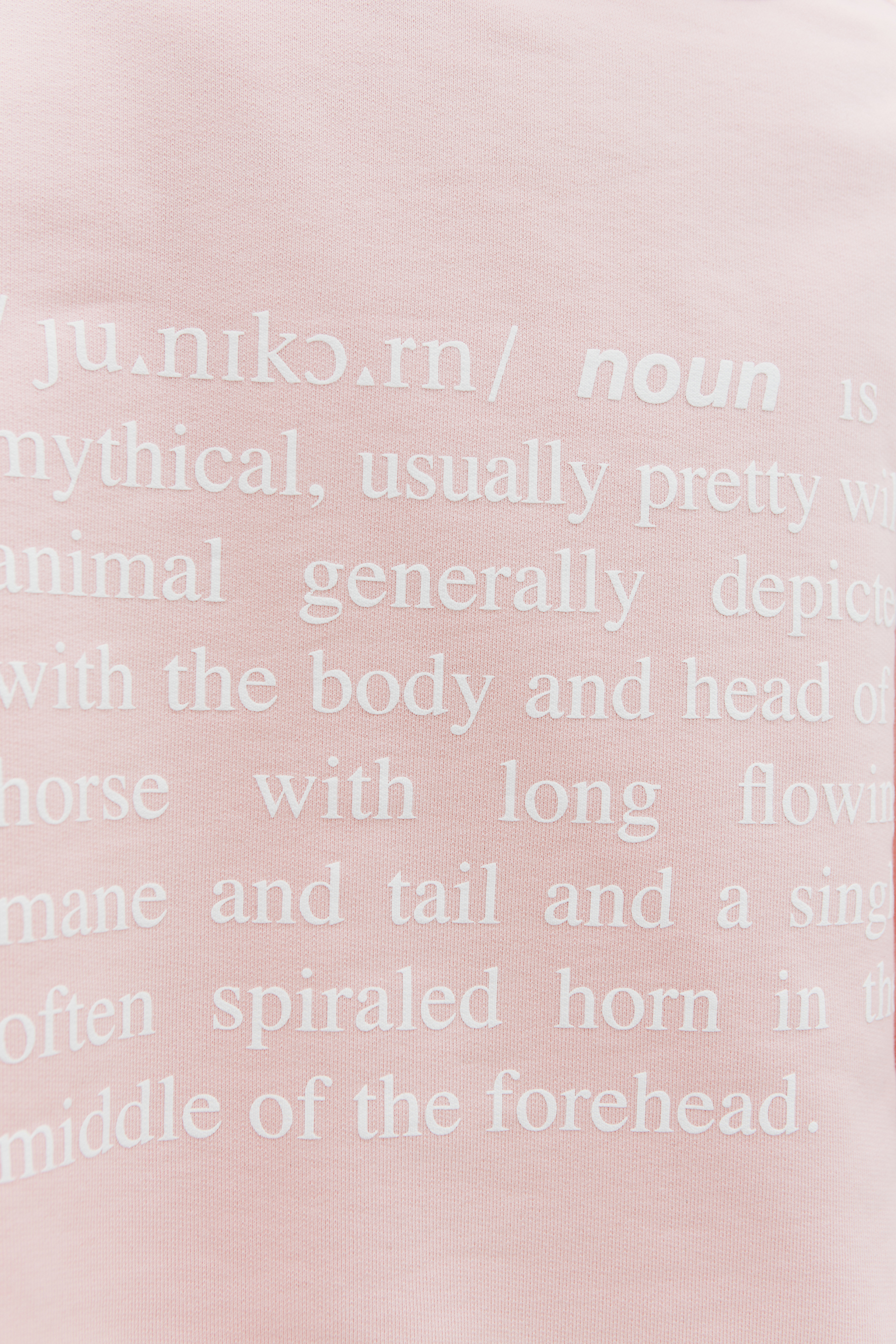 VETEMENTS Unicorn oversized hoodie