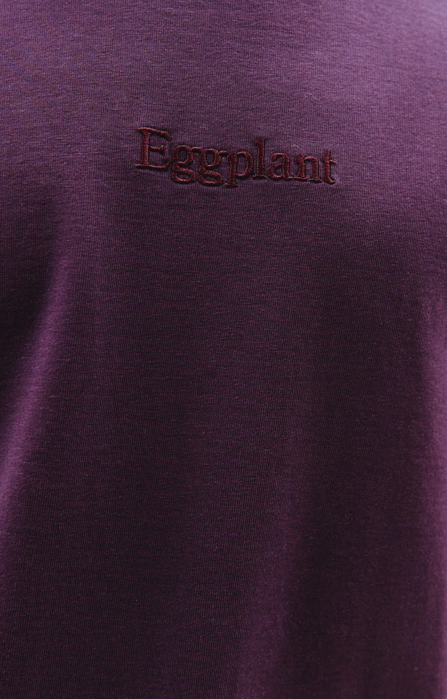 Doublet Embroidery eggplant t-shirt
