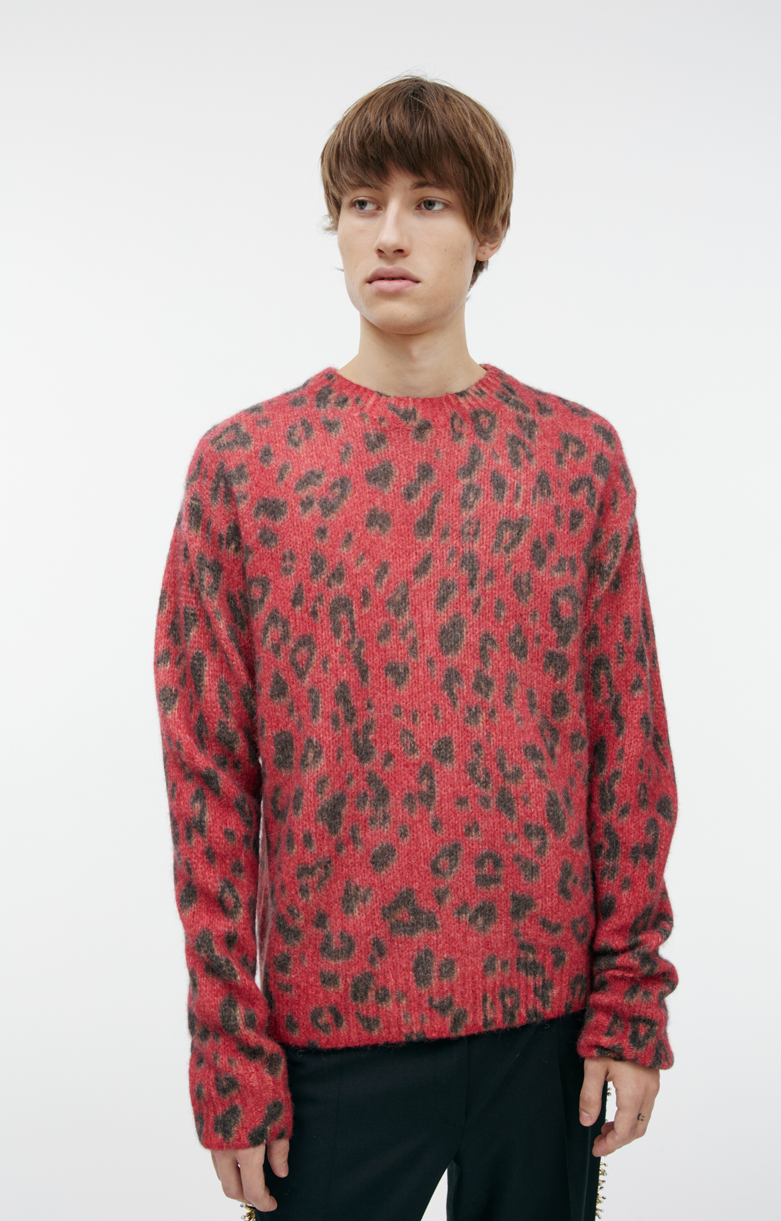 Dries Van Noten Animalistic print sweater