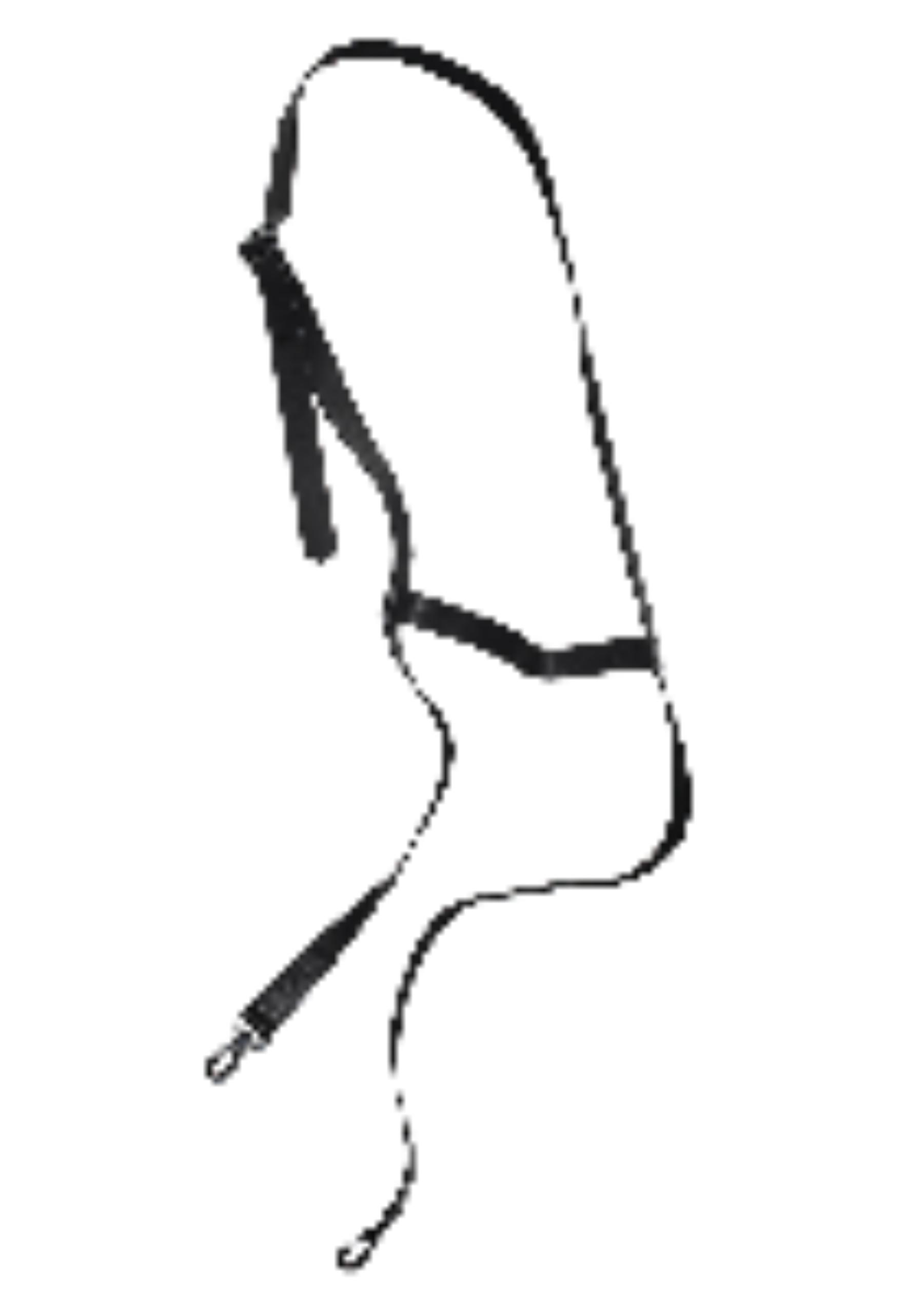 The Viridi-Anne Glove strap