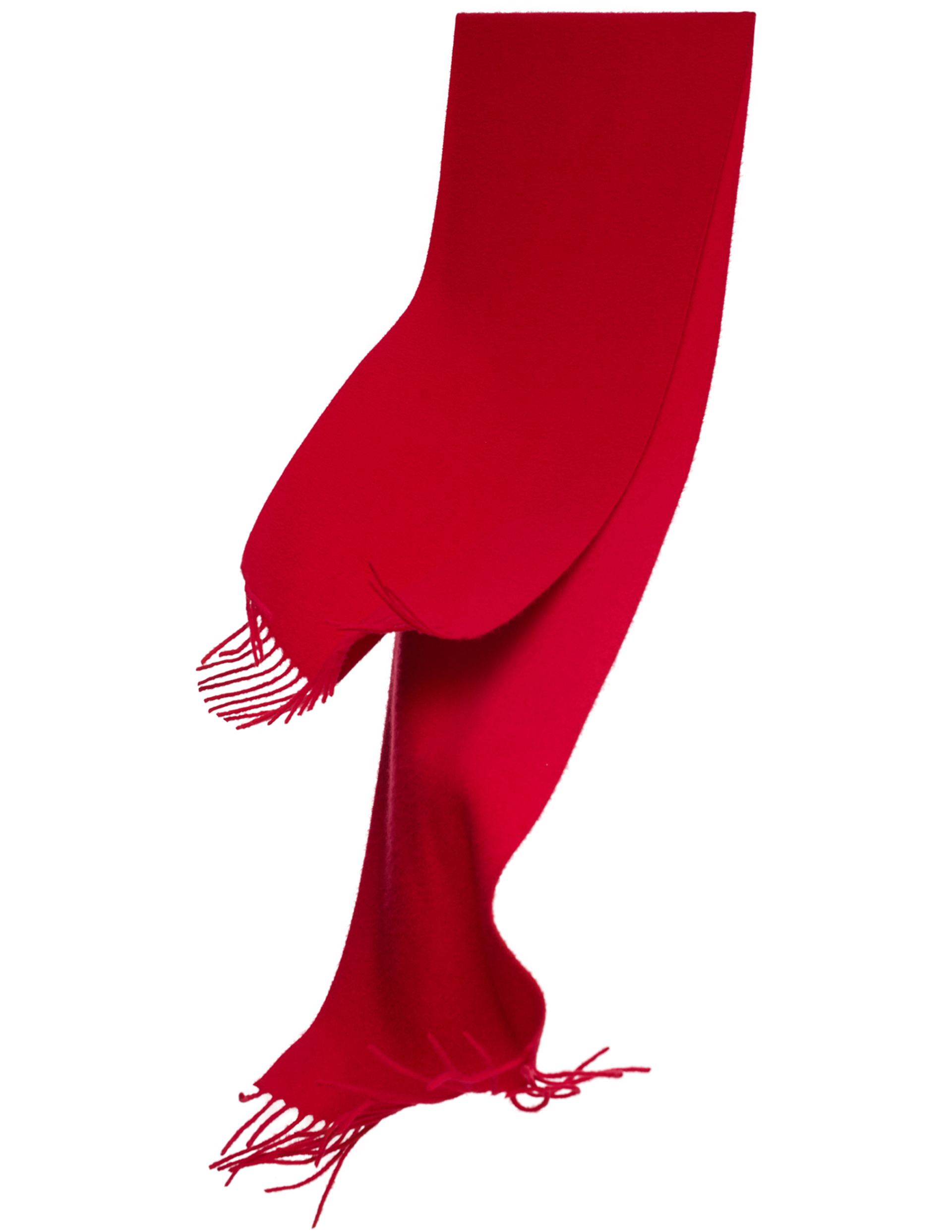 The Row Cashmere Scarf