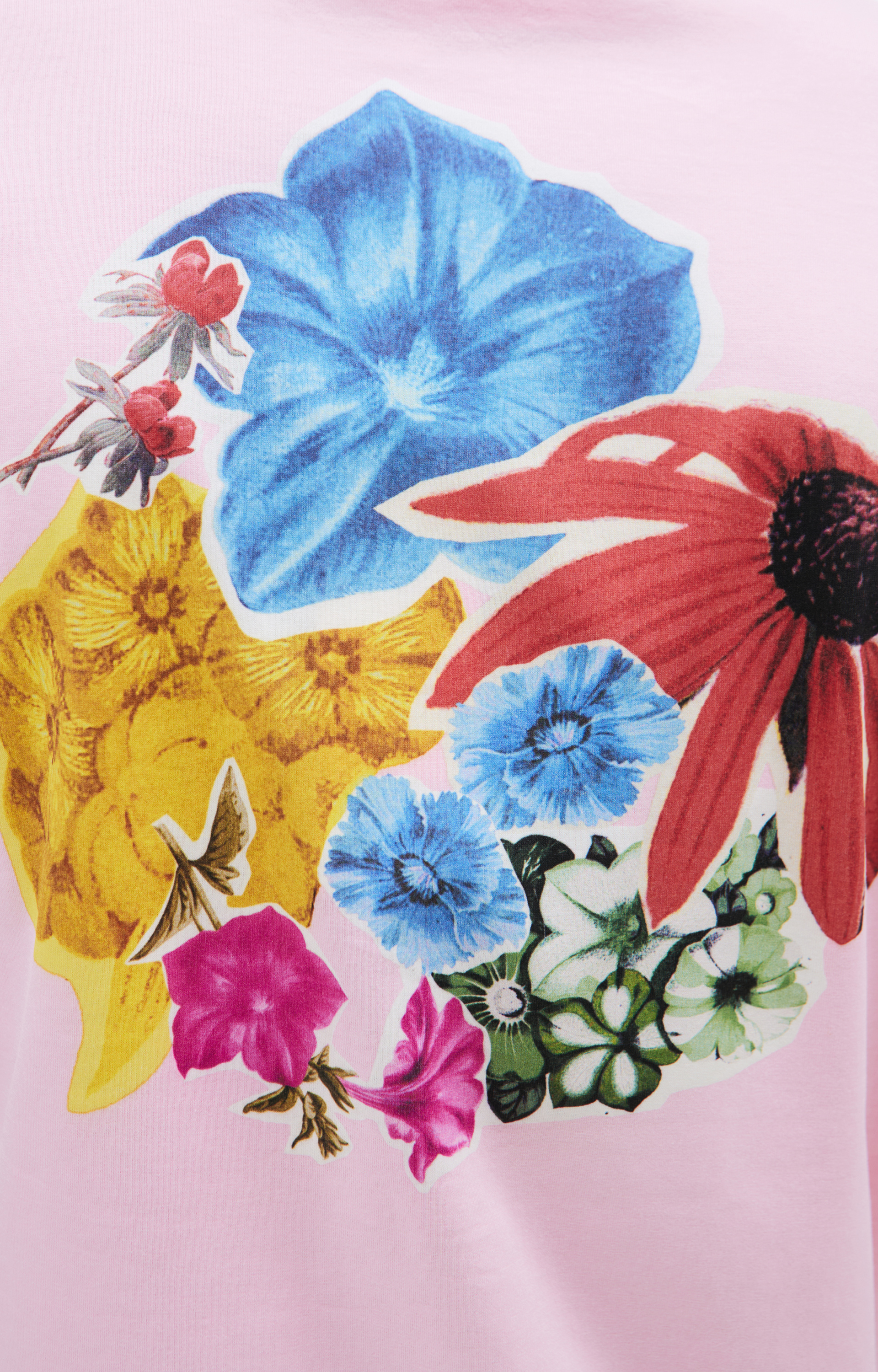 Marni Printed cotton t-shirt