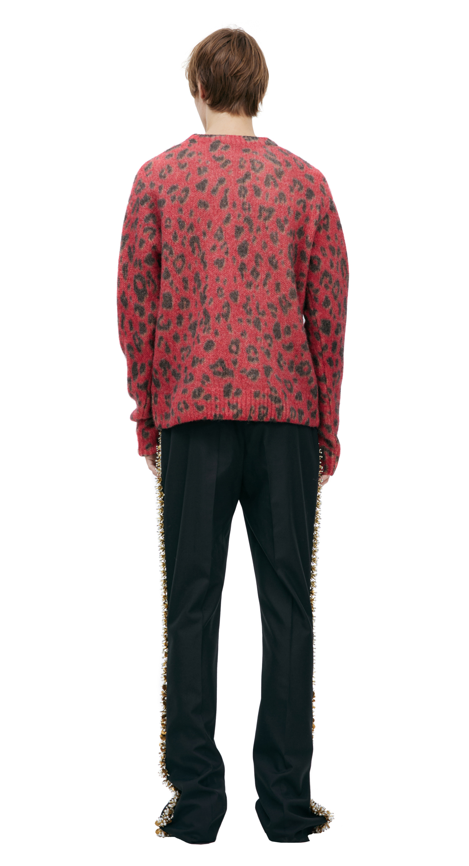 Dries Van Noten Animalistic print sweater