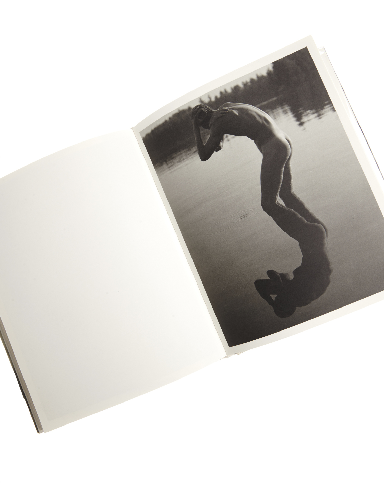 Books "Bear Pond" by Bruce Weber