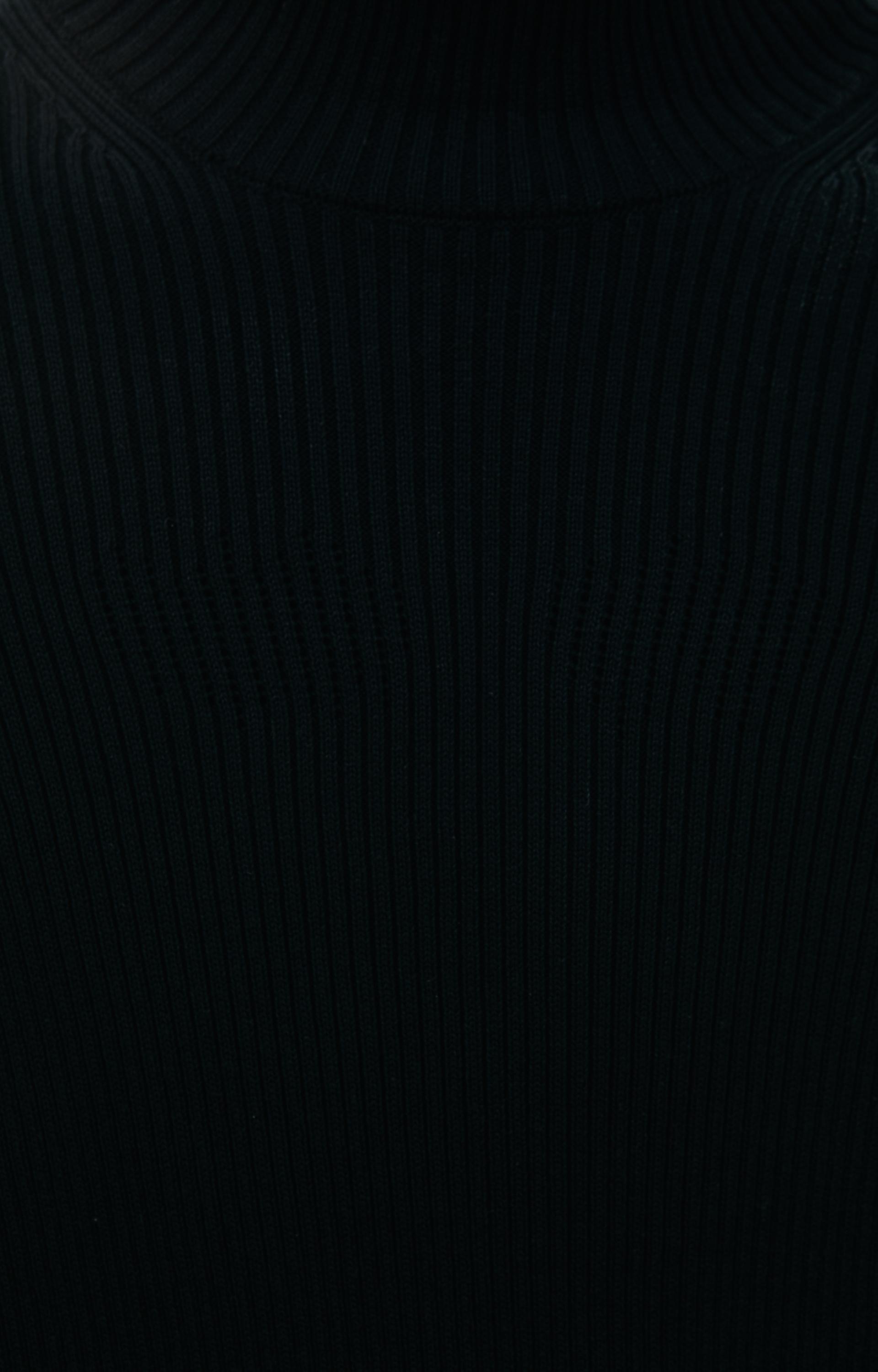 Doublet Black Invisible Turtleneck