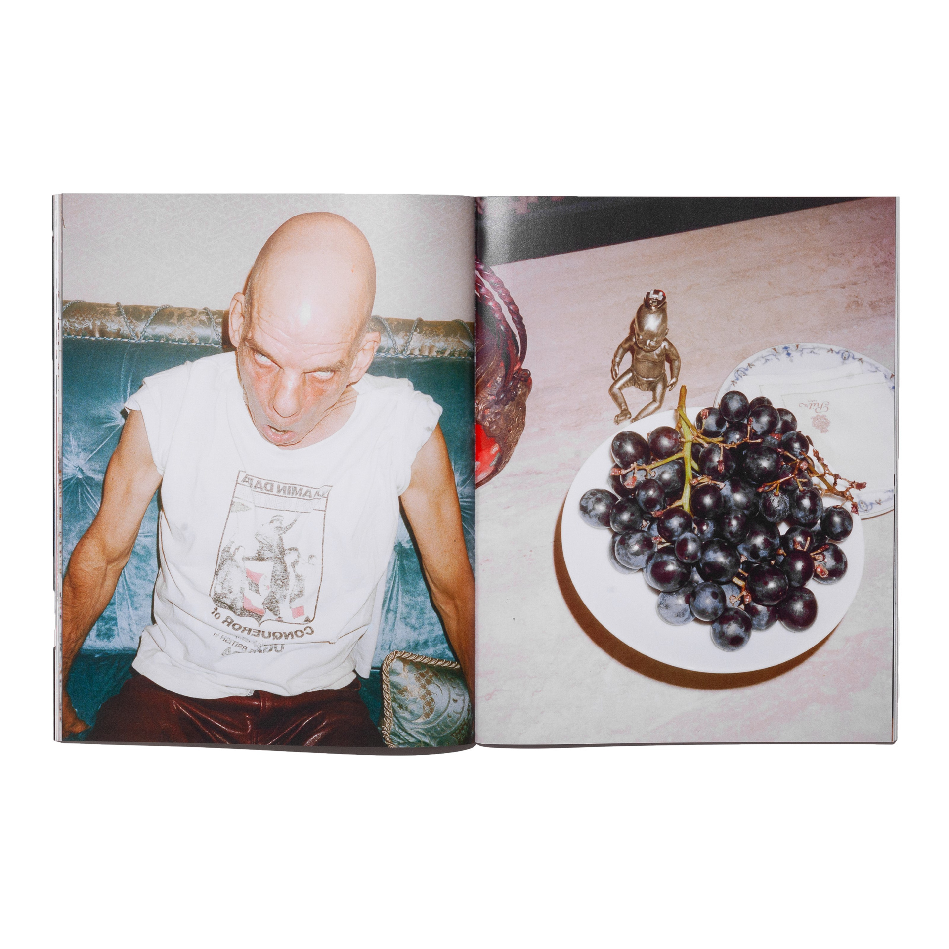 Enfants Riches Déprimés The book RATS AT THE RITZ