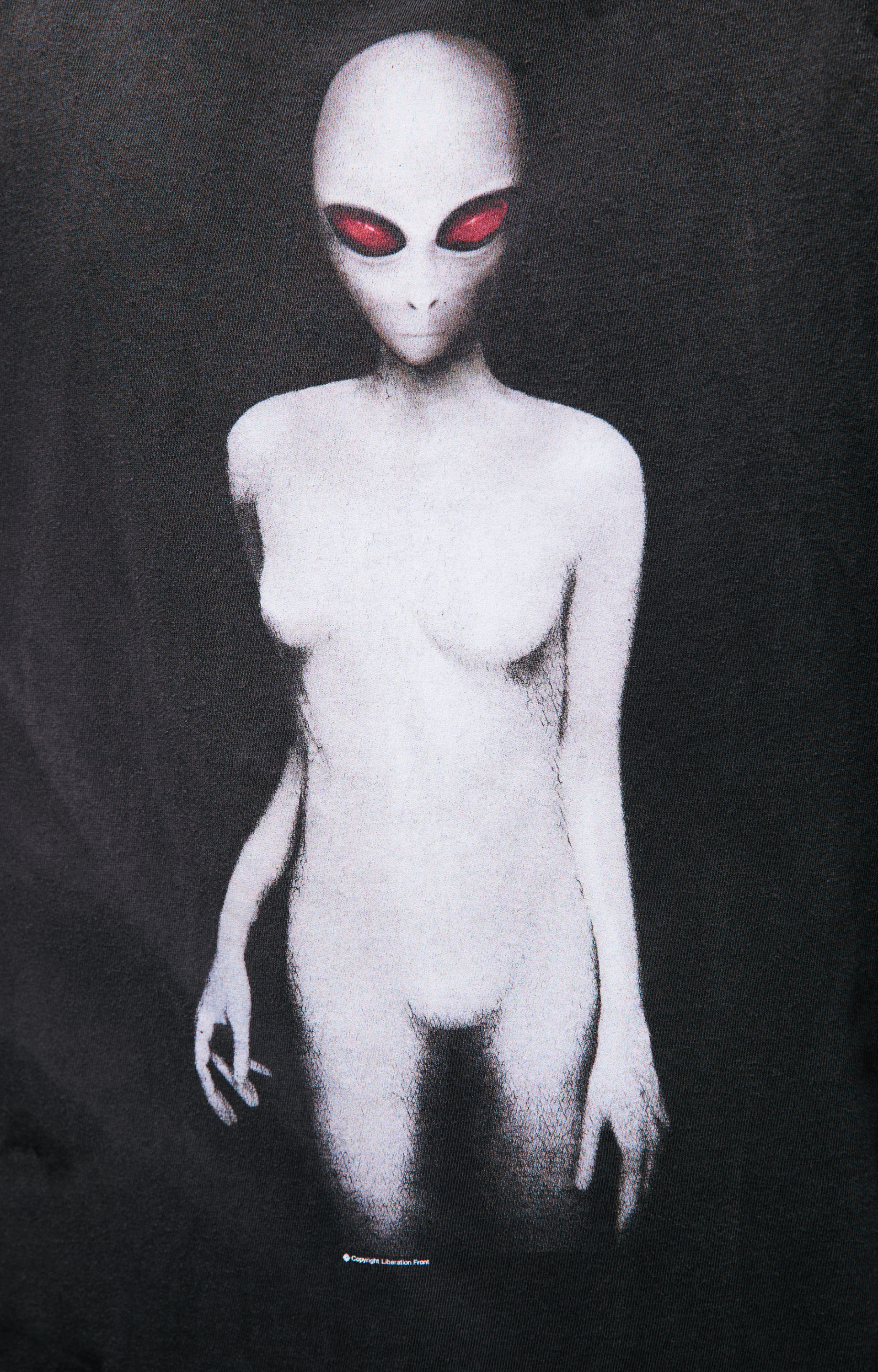 Saint Mxxxxxx Grey print T-shirt